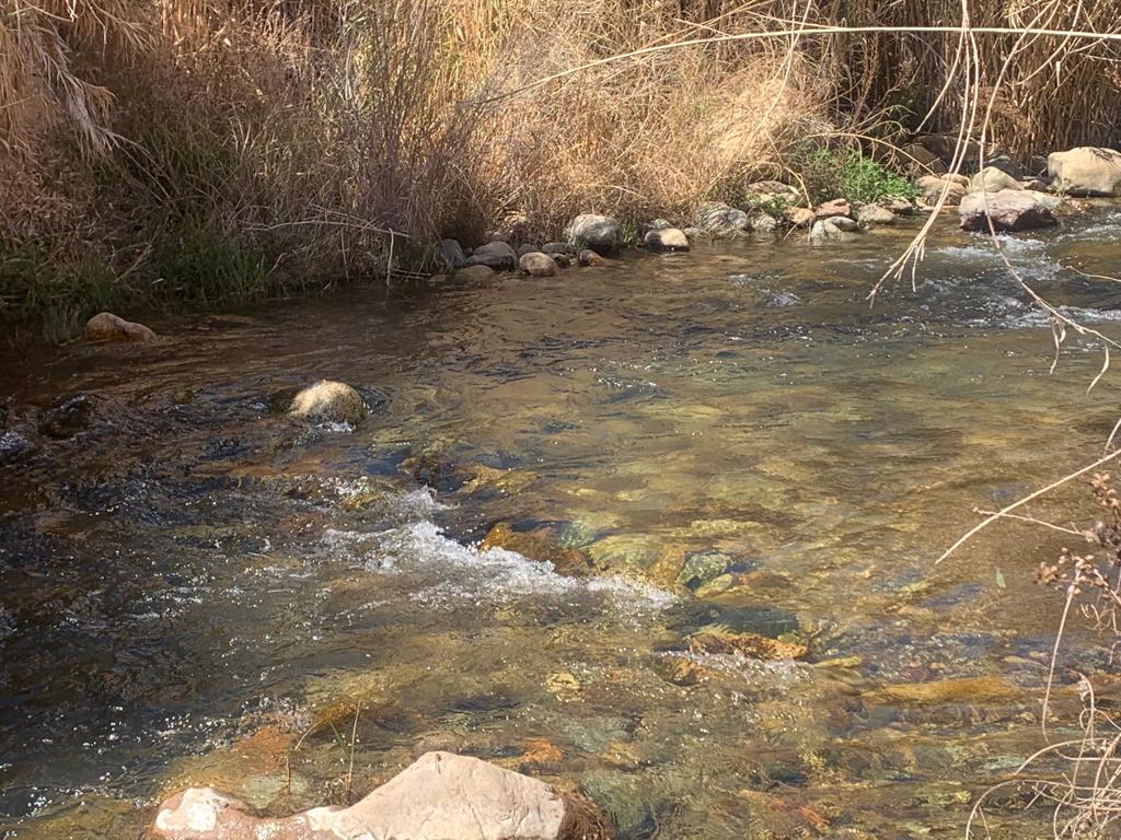 Muy pronto podras vivir una experiencia inolvidable en el corazon del valle del elqui
